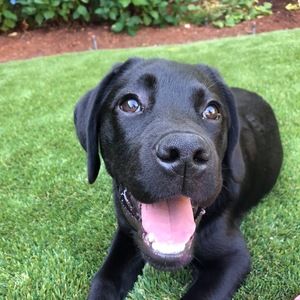 Meet your Posher, Christy